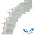BANTEX A4 灰色膠質索引分類 12-1 #6216